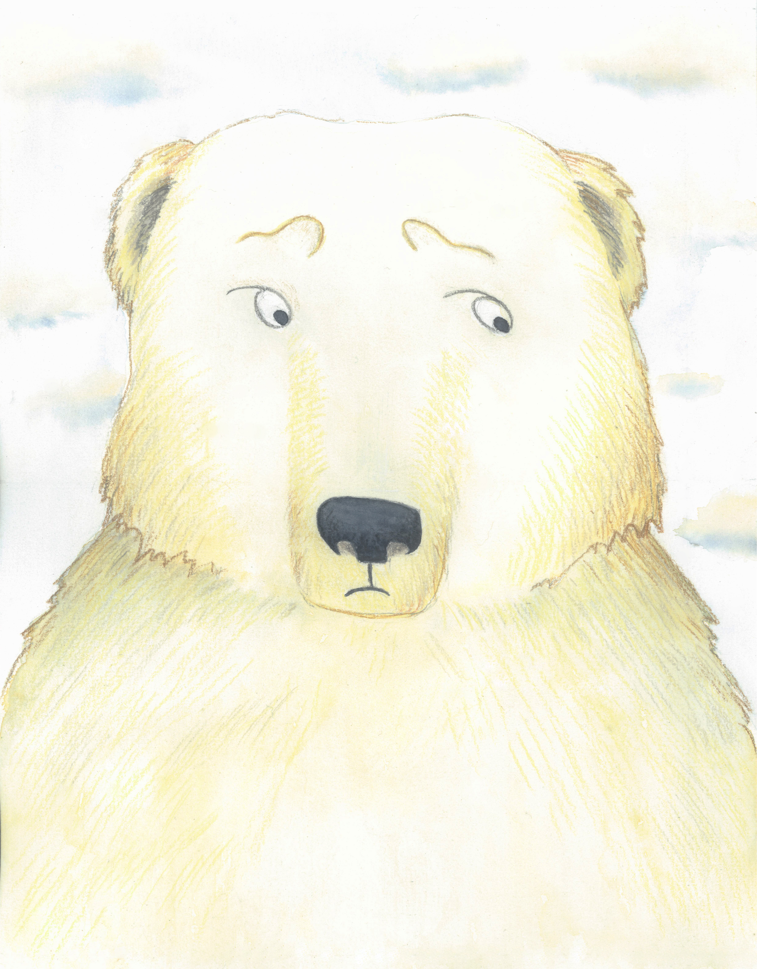 Bear portrait